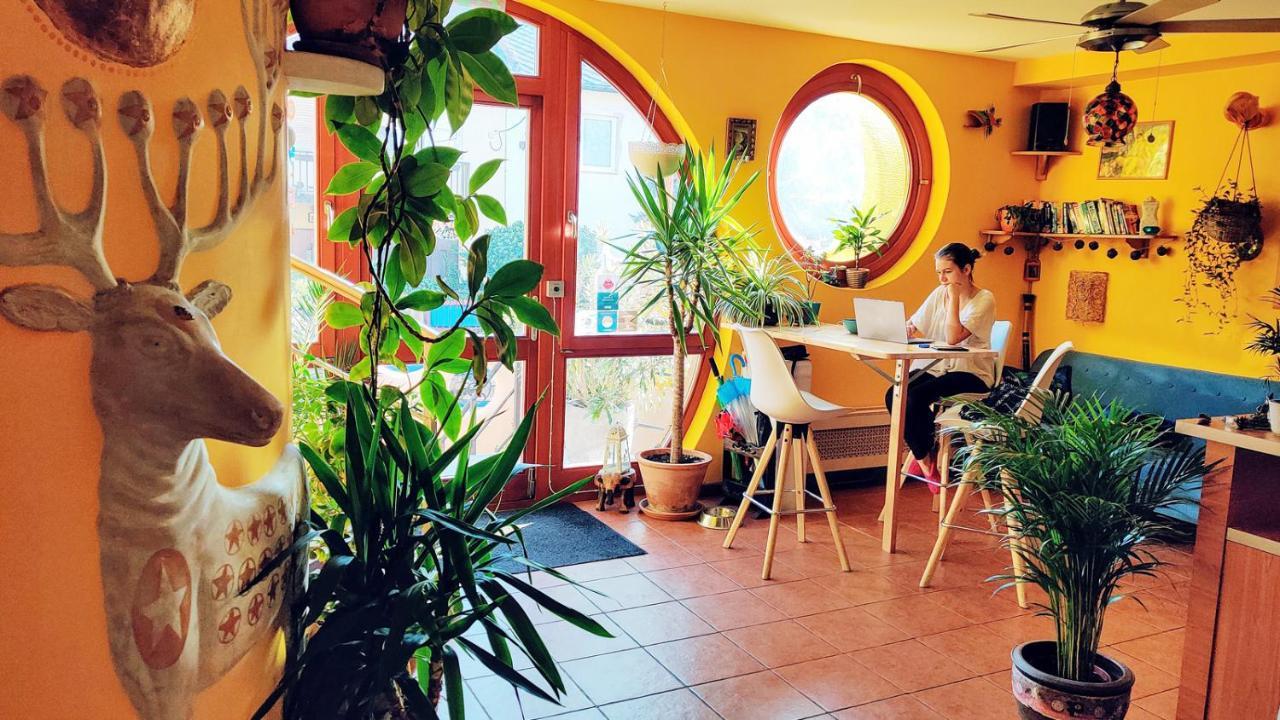 Shantee House Auberge de jeunesse *