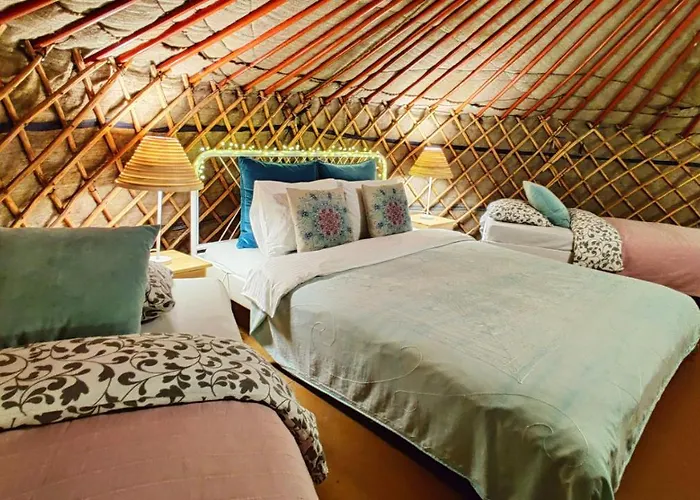 Shantee House