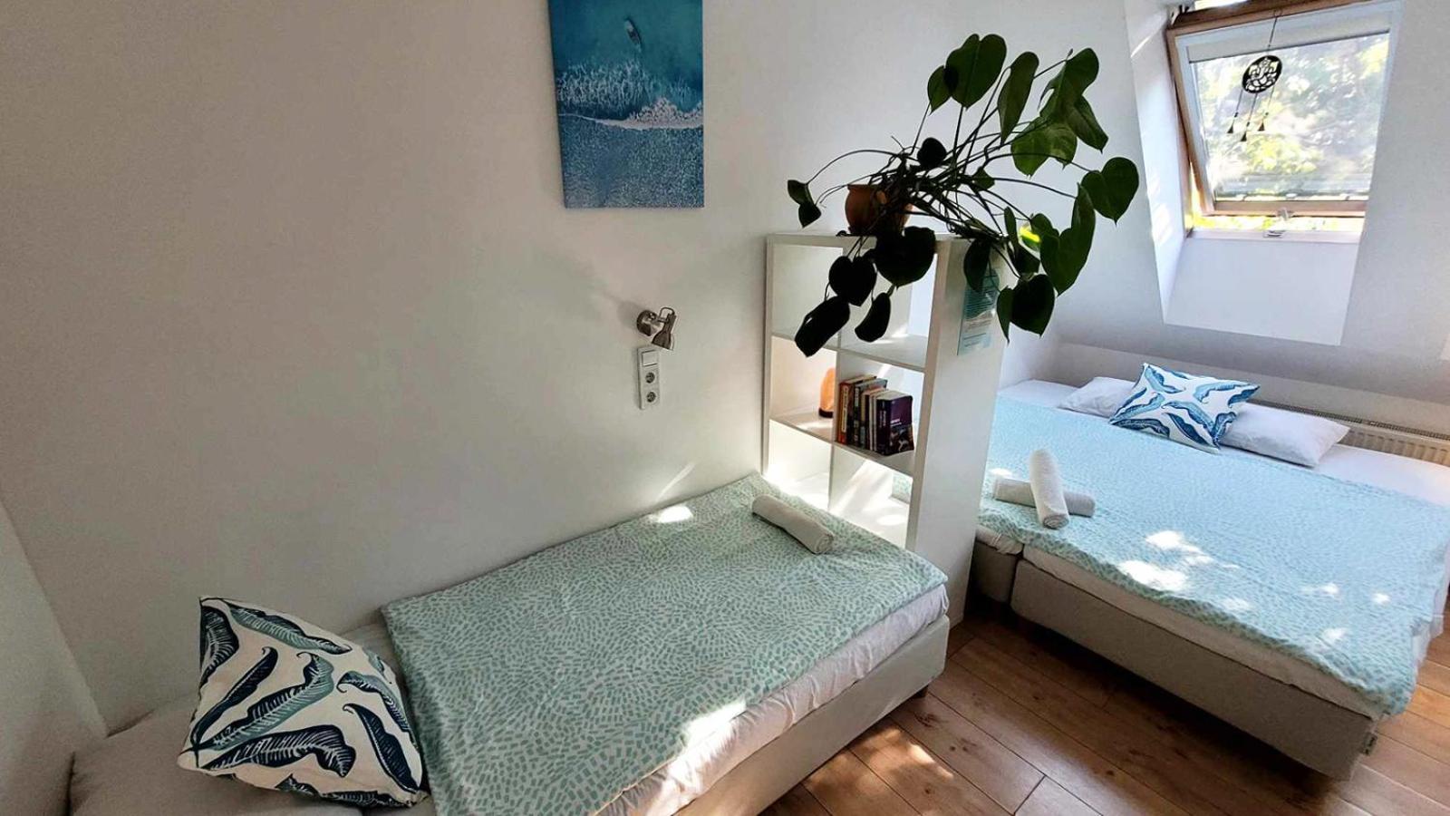 Shantee House Hostel